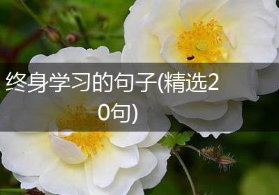 终身学习的句子(精选20句)