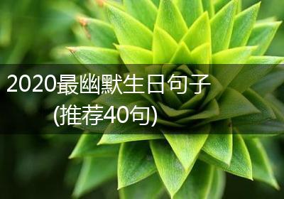 2020最幽默生日句子(推荐40句)