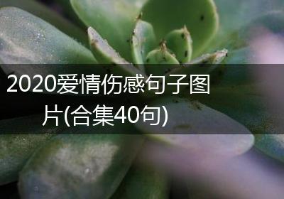 2020爱情伤感句子图片(合集40句)