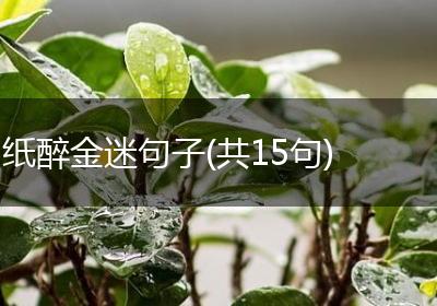 纸醉金迷句子(共15句)