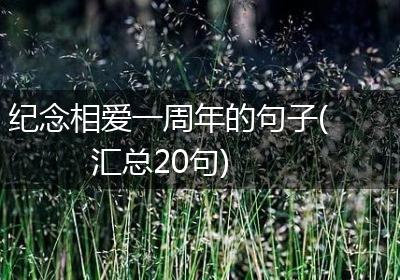 纪念相爱一周年的句子(汇总20句)