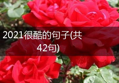 2021很酷的句子(共42句)