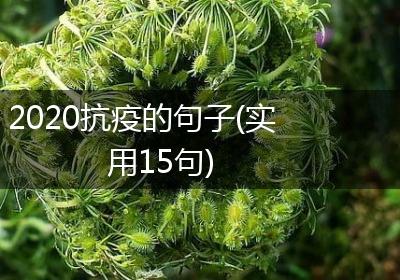 2020抗疫的句子(实用15句)