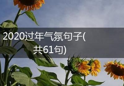 2020过年气氛句子(共61句)