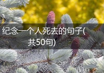 纪念一个人死去的句子(共50句)