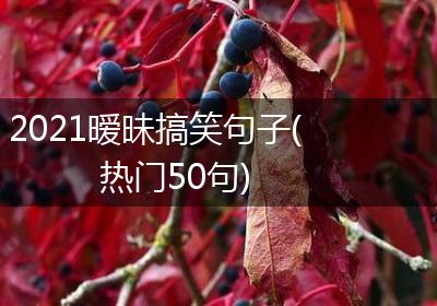 2021暧昧搞笑句子(热门50句)
