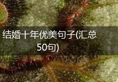 结婚十年优美句子(汇总50句)