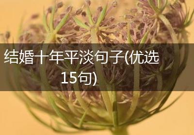 结婚十年平淡句子(优选15句)