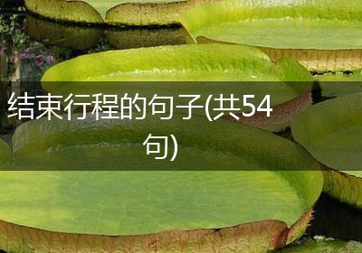 结束行程的句子(共54句)