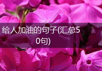 给人加油的句子(汇总50句)