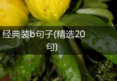 经典装b句子(精选20句)