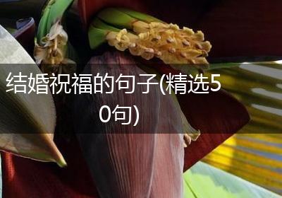 结婚祝福的句子(精选50句)