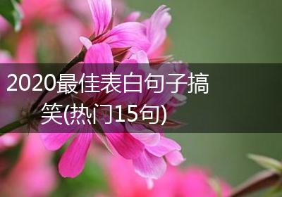2020最佳表白句子搞笑(热门15句)