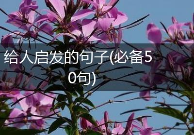 给人启发的句子(必备50句)