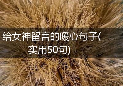 给女神留言的暖心句子(实用50句)