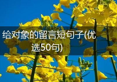 给对象的留言短句子(优选50句)