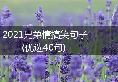 2021兄弟情搞笑句子(优选40句)