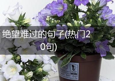 绝望难过的句子(热门20句)