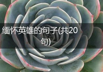 缅怀英雄的句子(共20句)