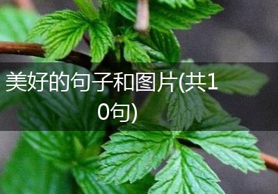 美好的句子和图片(共10句)