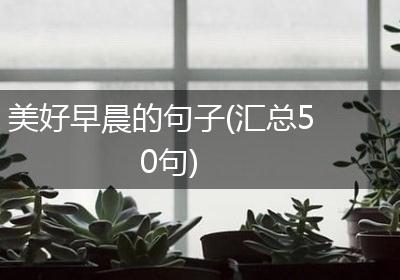 美好早晨的句子(汇总50句)