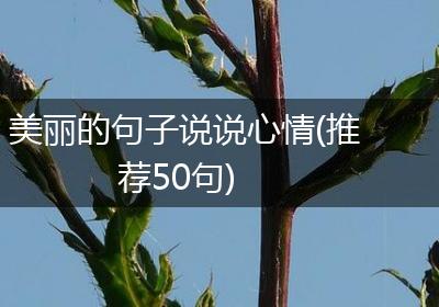 美丽的句子说说心情(推荐50句)