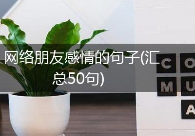 网络朋友感情的句子(汇总50句)
