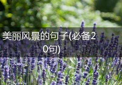 美丽风景的句子(必备20句)