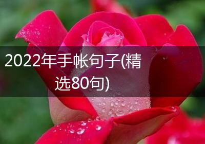 2022年手帐句子(精选80句)