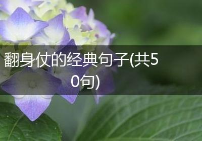 翻身仗的经典句子(共50句)