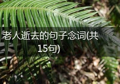 老人逝去的句子念词(共15句)