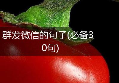 群发微信的句子(必备30句)