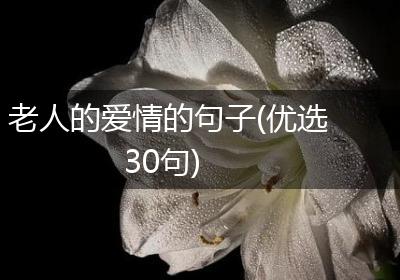 老人的爱情的句子(优选30句)