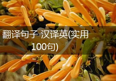 翻译句子 汉译英(实用100句)