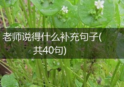 老师说得什么补充句子(共40句)