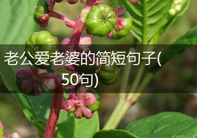 老公爱老婆的简短句子(50句)