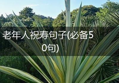 老年人祝寿句子(必备50句)