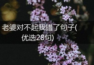 老婆对不起我错了句子(优选28句)