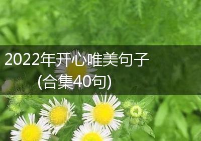 2022年开心唯美句子(合集40句)