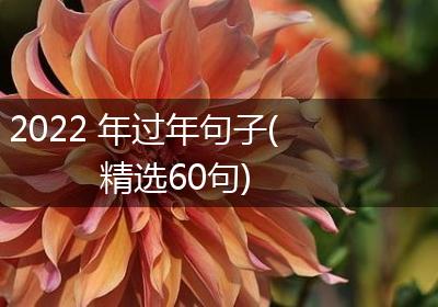 2022 年过年句子(精选60句)