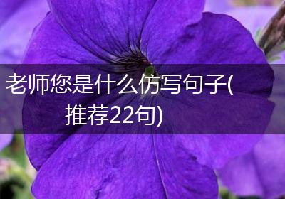 老师您是什么仿写句子(推荐22句)
