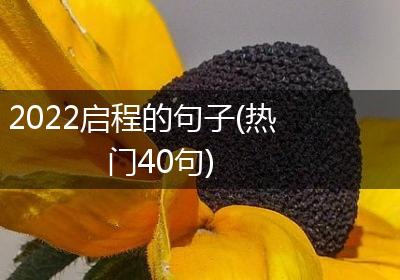 2022启程的句子(热门40句)