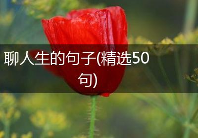 聊人生的句子(精选50句)