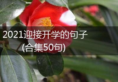 2021迎接开学的句子(合集50句)