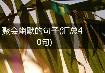 聚会幽默的句子(汇总40句)