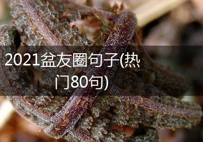 2021盆友圈句子(热门80句)