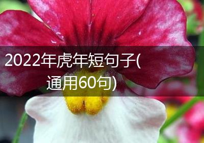 2022年虎年短句子(通用60句)