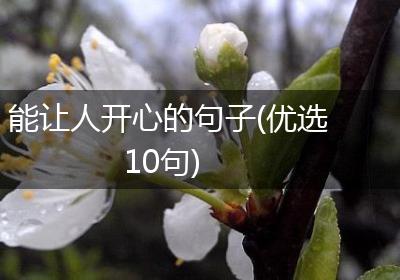 能让人开心的句子(优选10句)