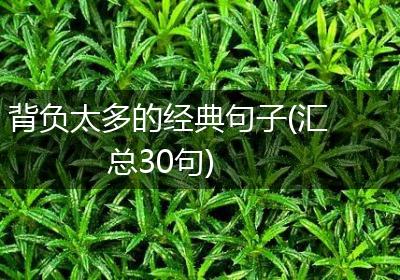 背负太多的经典句子(汇总30句)