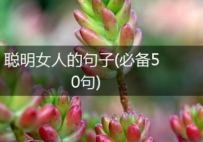 聪明女人的句子(必备50句)